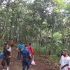 Sambut Hari Jadi Kota Sanggau ke-405, DLH Kab. Sanggau lakukan kerja bakti bersama di Kawasan Makam Raja Mengkiang – Dinas Lingkungan Hidup