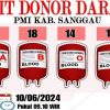 Update Stok Darah Semua Golongan di PMI Sanggau Hari Ini Senin 10 Juni 2024