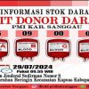 Stok Darah Semua Golongan O dan AB Kosong PMI Kabupaten Sanggau