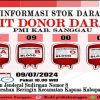 Stok Darah Golongan O dan AB Kosong di PMI Kabupaten Sanggau