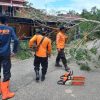 BPBD Sanggau Bersihkan Pohon Tumbang di Kelurahan Bunut