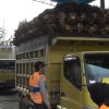12 Kendaraan Angkutan Terjaring Razia di Tayan Hulu