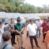 Kemenkop UKM RI Lirik Rencana Pembangunan Pabrik Minyak Goreng Merah di Sanggau