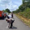 Seorang Warga Ditemukan Meninggal Dunia di Jalan Segole Kabupaten Sanggau