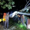 BPBD Sanggau Bersihkan Pohon Tumbang di Liku