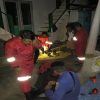 Damkar Sanggau Berhasil Musnahkan Sarang Lebah