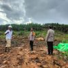 Kapolsek Meliau Tinjau Lahan untuk Penanaman Jagung sebagai Bagian dari Program Ketahanan Pangan Nasional