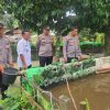 Kapolres Sanggau Kunjungi Budidaya Ikan Lele di Desa Tunggal Bhakti untuk Dukung Ketahanan Pangan