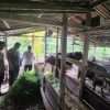 Kapolres Sanggau Kunjungi Kecamatan Kembayan untuk Dukung Ketahanan Pangan Bergizi