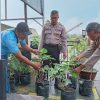 Polsek Kapuas Gelar Program Pekarangan Bergizi untuk Dukung Ketahanan Pangan