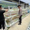 Program Pekarangan Bergizi Polsek Sekayam Dukung Ketahanan Pangan