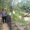 Polsek Mukok Lakukan Pengecekan Program Perkarangan Bergizi di Desa Semanggis Raya