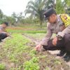 Giat Polsek Nanga Pinoh Dalam Perawatan dan Pemeliharaan Tanaman