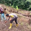Penanaman Jagung 1 Juta Hektar di Wilayah Hukum Polsek Entikong