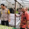 Kapolresta Pontianak Cek Pembibitan sayuran di Kelompok Tani Pondok Sehati di Pal Lima