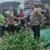 Polsek Tayan Hulu Serahkan 370 Bibit Cabai ke Pemdes Kedakas untuk Dukung Ketahanan Pangan