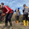 Penanaman Jagung Monokultur di Lahan Tumpang Sari Dukung Ketahanan Pangan di Beduai