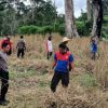 Penanaman Jagung di Lahan Tumpang Sari untuk Ketahanan Pangan di Kecamatan Entikong