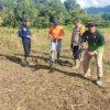 Kapolsek Bonti Pimpin Penanaman Jagung di Lahan Monokultur untuk Ketahanan Pangan