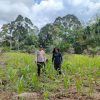 Bintara Penggerak Cek Progres Penanaman Jagung Di Desa Pongok