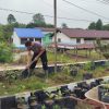 Polsek Batang Tarang Giatkan Program P2B untuk Dukung Ketahanan Pangan