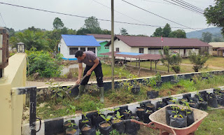 Polsek Batang Tarang Giatkan Program P2B untuk Dukung Ketahanan Pangan Polsek Batang Tarang Giatkan Program P2B untuk Dukung Ketahanan Pangan