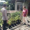 Polsek Entikong Cek Progres Program Pekarangan Bergizi Dukung Ketahanan Pangan