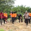 Polsek Meliau dan Polres Sanggau Tanam Jagung Tumpangsari Dukung Ketahanan Pangan