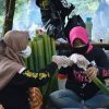 FESTIVAL BEPANOK AJAN’T DI OBJEK WISATA BATU POSOK DESA PENYELADI HULU – DISPORAPAR