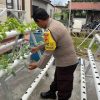 Polsek Sekayam Gencarkan Program Pekarangan Bergizi untuk Ketahanan Pangan