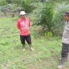 Polsek Bonti Lakukan Pengecekan Perkembangan Tanaman Jagung dalam Program Ketahanan Pangan