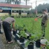 Polsek Entikong Jalankan Program Perkarangan Bergizi untuk Dukung Ketahanan Pangan