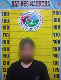 Satresnarkoba Polres Sanggau Bekuk Seorang Pengedar Narkotika di Jalan Raya Sosok-Tayan