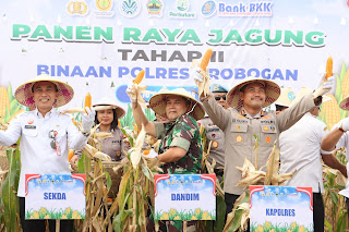 Polres Grobogan Sukses Gelar Panen Raya Jagung di Lahan 274 Hektare