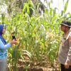 Polda Kalbar Laksanakan Asistensi Program Ketahanan Pangan di Wilayah Polsek Kapuas