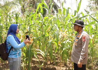 Polda Kalbar Laksanakan Asistensi Program Ketahanan Pangan di Wilayah Polsek Kapuas