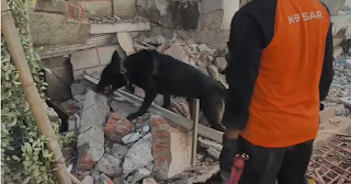 Tim K9 Polri yang Tergabung dalam Tim INASAR 1 Berhasil Temukan Korban dalam Operasi Kemanusiaan di Myanmar