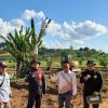Dorong Ketahanan Pangan, Polsek Meliau Tinjau Langsung Pembukaan Lahan Demplot di Sungai Mayam