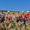 Program Gugus Tugas Ketahanan Pangan Polda Jambi Sukses Panen Jagung di 6 Polres