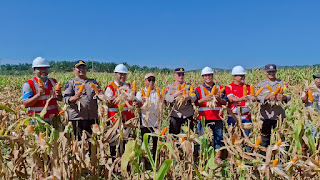 Program Gugus Tugas Ketahanan Pangan Polda Jambi Sukses Panen Jagung di 6 Polres