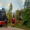 Tiga Rumah Dinas Kehutanan Sanggau Terbakar, Api Diduga Dipicu Anak Bermain Korek Api