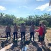 Polres Sanggau Tinjau Kesiapan Lahan Tanam Jagung Serentak di Kecamatan Mukok