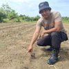 Kapolsek Tayan Hilir Tinjau Perkembangan Lahan Demplot Pasca Penanaman Serentak