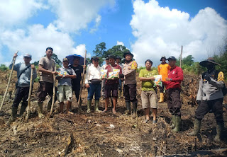 Polsek Meliau dan Warga Laksanakan Tanam Jagung di Lahan Produktif, Dukung Program Ketahanan Pangan Nasional