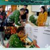 Deklarasi Open Defecation Free (ODF) Kecamatan Kapuas – Dinkes Kabupaten Sanggau