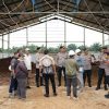 Wakapolda Kalbar Tinjau Kesiapan Panen Raya Jagung di Bengkayang, Sinergi Polri–TNI AU Perkuat Ketahanan Pangan Nasional
