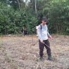 Polsek Batang Tarang Lakukan Pemupukan Jagung Dengan Teknologi Migo Pasca Tanam Serentak