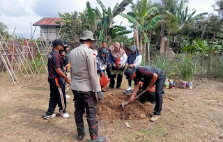 Polsek Sekayam Dorong Ketahanan Pangan Melalui Pembibitan Cabai di Balai Karangan