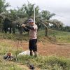 Polsek Kembayan Intensifkan Pengelolaan Lahan Demplot Melalui Pengendalian Gulma dan Penataan Batas Tanam