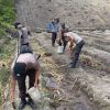 Dukung Ketahanan Pangan, Polsek Beduai Bersama Masyarakat Tanam Jagung Hibrida di Lahan Produktif
